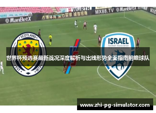 世界杯预选赛最新战况深度解析与出线形势全面指南前瞻球队
